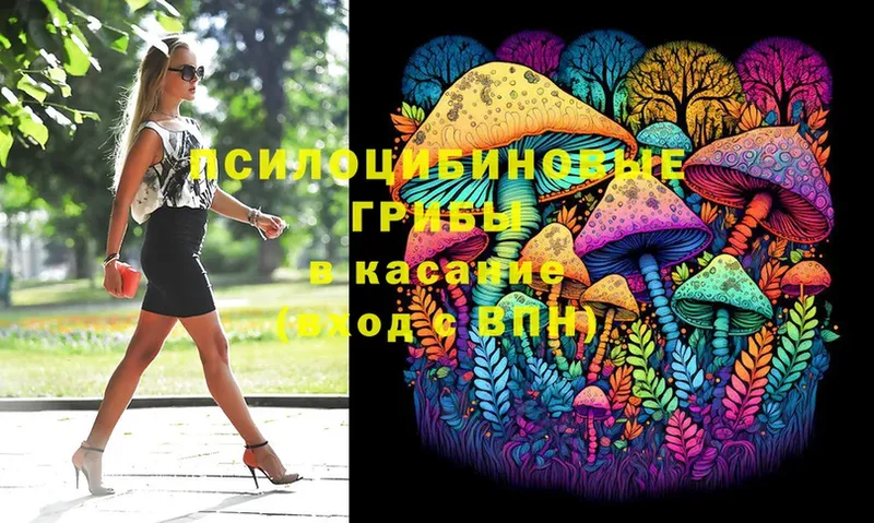 Галлюциногенные грибы Magic Shrooms  сколько стоит  Почеп 