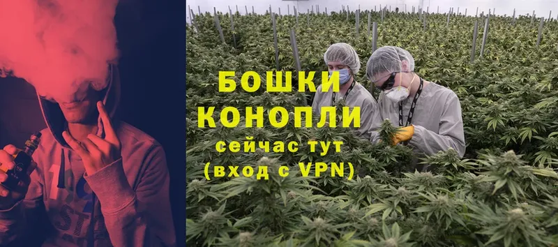 купить закладку  Почеп  Канабис Bruce Banner 